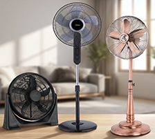 Fans