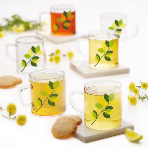 Borosil Vision Classic Borosilicate Glass Tea & Coffee Mug Set of 6 - 190ml 